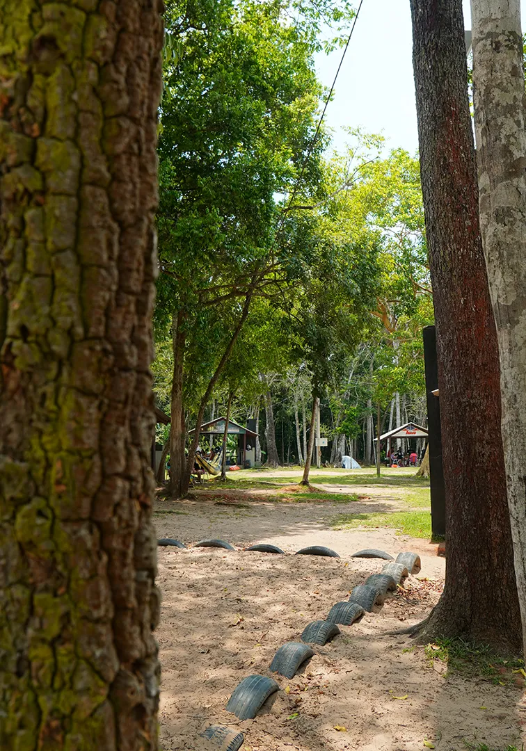 Espaço arborizado ao ar livre